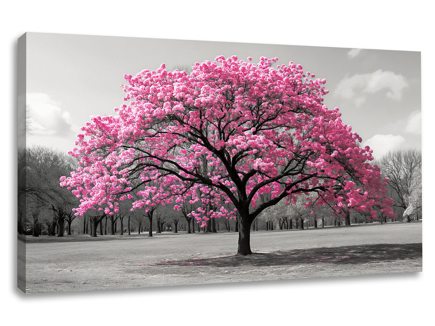 Tablou canvas floral cu copac înflorit roz pe fundal alb-negru