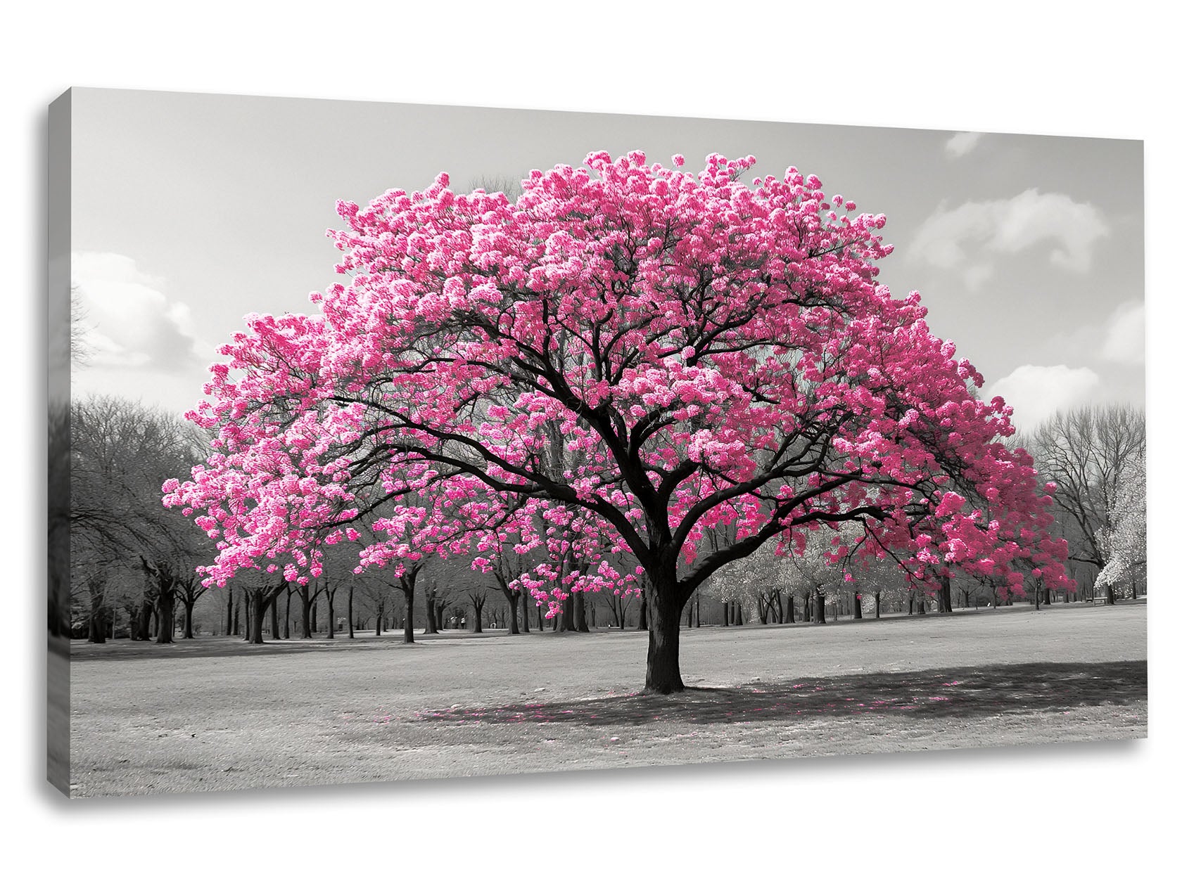 Tablou canvas floral cu copac înflorit roz pe fundal alb-negru
