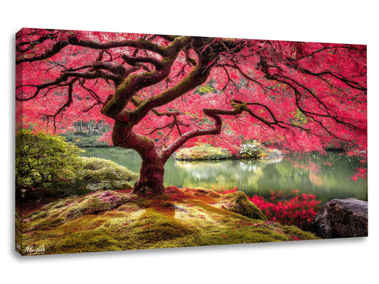 Tablou canvas premium cu arțar japonez purpuriu și reflexie în apă - Decoralin